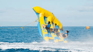 Flying Fish Rides