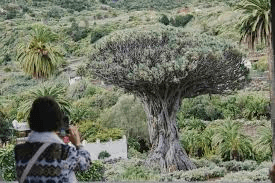 Island Sightseeing Tour (Bus Tour) – 3