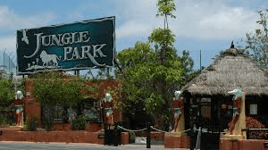 Jungle Park – 2