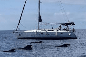 Skyline (Sailing Yacht) – 3