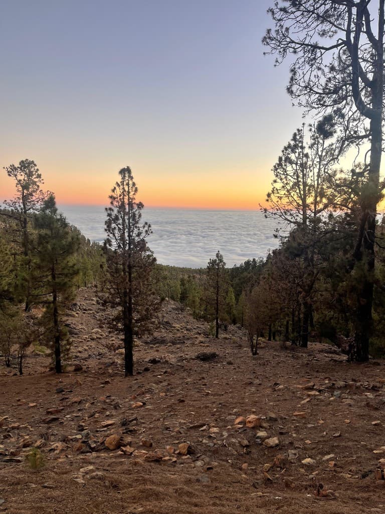 Teide Stargazing Experience – 4