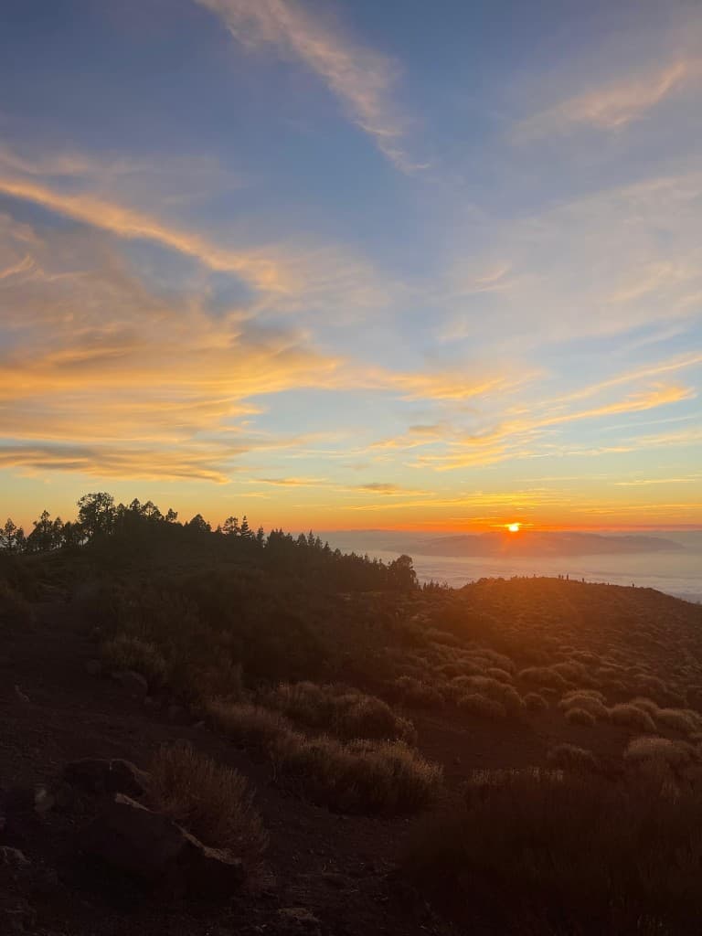 V.I.P TOUR ONLY 8 PERSON – 6